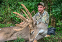 Real nice deer down! Best crossbow yet? How to saddle hunt