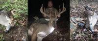3 trophies in 1 season! Trailcams banned in 2 states, Hunt bedding areas